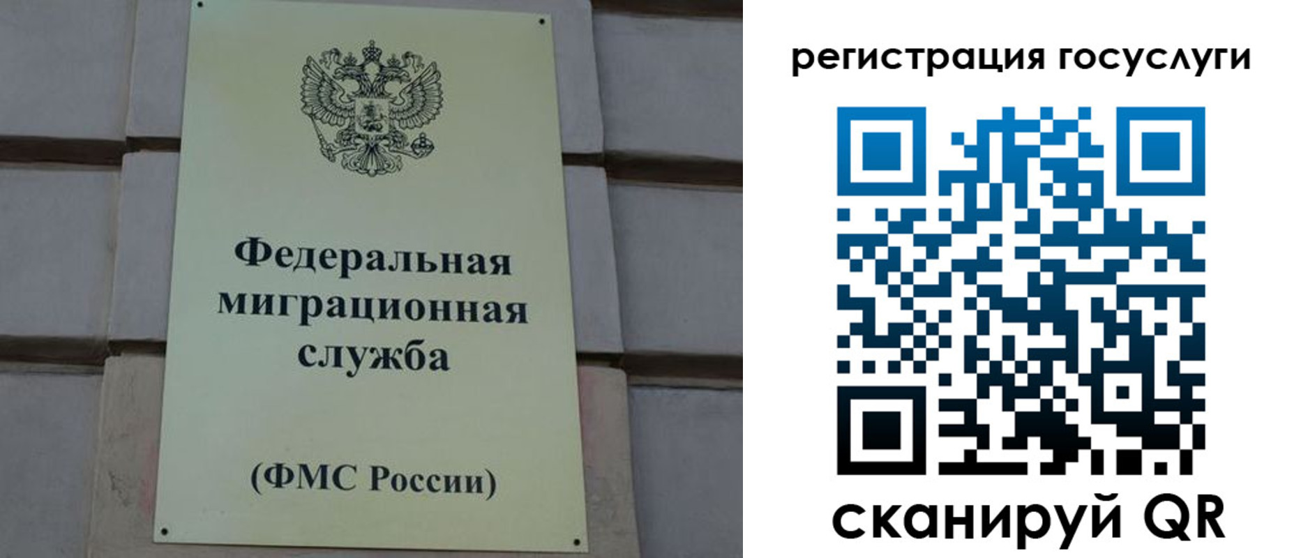 временная регистрация поиск в Дальнегорске